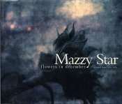 Mazzy-star-flowers-in-decemb-74306