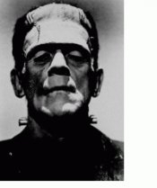 pohyblivy-horrors-obrazek_6.gif